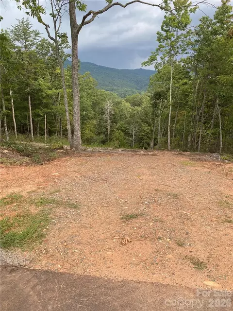 Other - 1 Jackson Ridge Ln, Mill Spring, NC 28756 photo 2 of 11