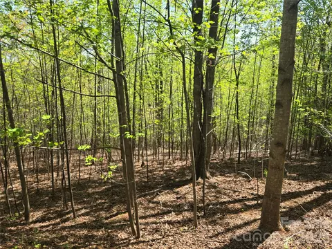 Back Hollow Drive, Lake Lure, NC 28746