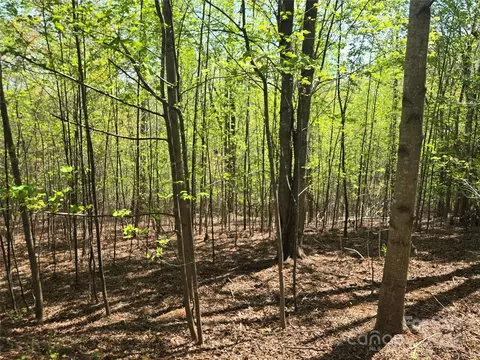 Back Hollow Drive, Lake Lure, NC 28746