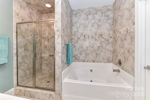 Bath - 172 Harper Lee St, Davidson, NC 28036 photo 2 of 3