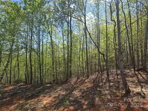 Touch Me Not Trail, Lake Lure, NC 28746