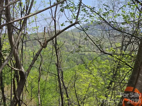 High Rock Ridge, Lake Lure, NC 28746