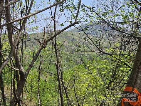 High Rock Ridge, Lake Lure, NC 28746