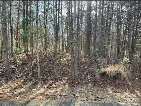 104 Pawnee 27 Ct #27, Statesville, NC 28677