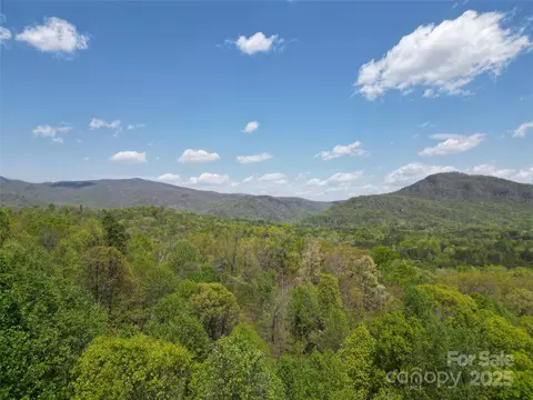 Turkey Fall Lane, Lake Lure, NC 28746