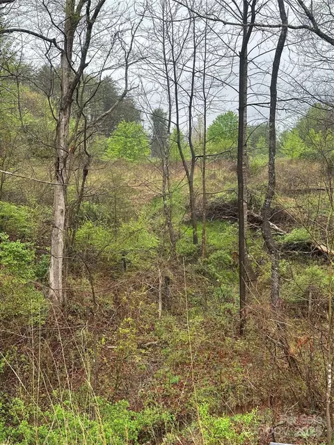 Holland Drive, Marion, NC 28752