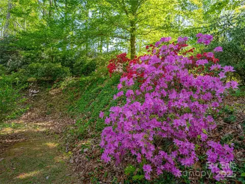 1240 Blanton St, Columbus, NC 28722 photo 7