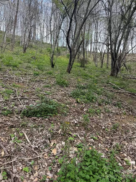 Birchfield Creek, Newland, NC 28657