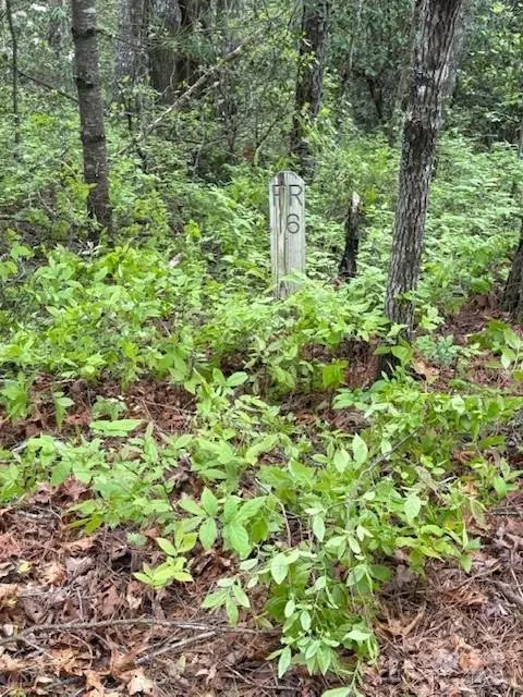 Opossum Fr 16 Path #FR 16, Brevard, NC 28712