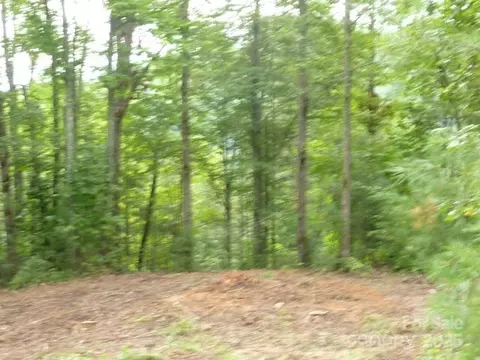 240 Thunderhead Dr, Marshall, NC 28753 photo 6