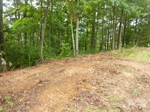 240 Thunderhead Dr, Marshall, NC 28753 photo 11