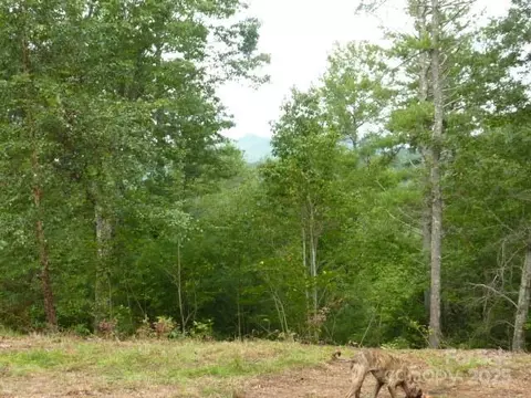 240 Thunderhead Dr, Marshall, NC 28753