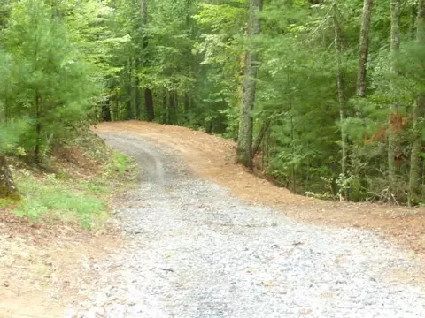 240 Thunderhead Dr, Marshall, NC 28753 photo 8