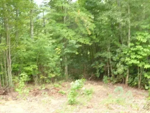 240 Thunderhead Dr, Marshall, NC 28753 photo 3