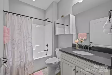 Other - 11621 Mount Argus Dr, Cornelius, NC 28031 photo 7 of 15