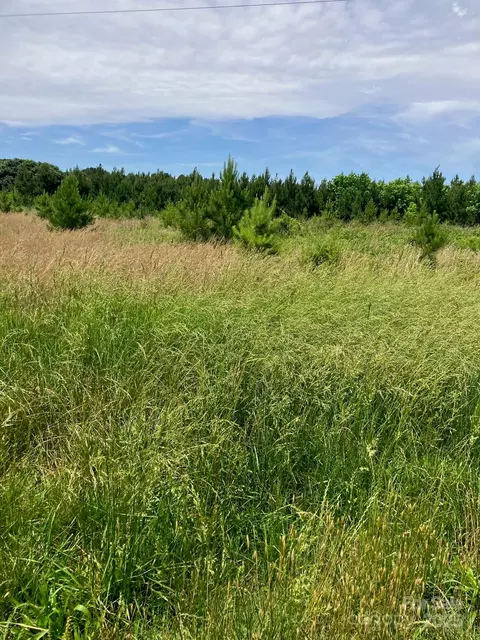 0 Renee Ford Rd, Stanfield, NC 28163