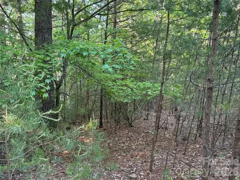 Wolf Pen 27 Road #27, Purlear, NC 28665 photo 12