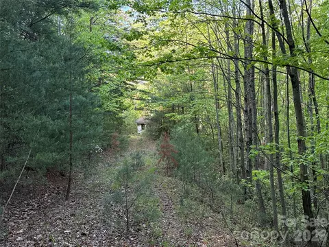 Wolf Pen 27 Road #27, Purlear, NC 28665 photo 8