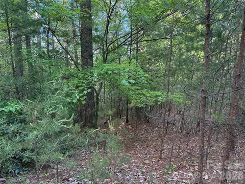 Wolf Pen 27 Road #27, Purlear, NC 28665 photo 15