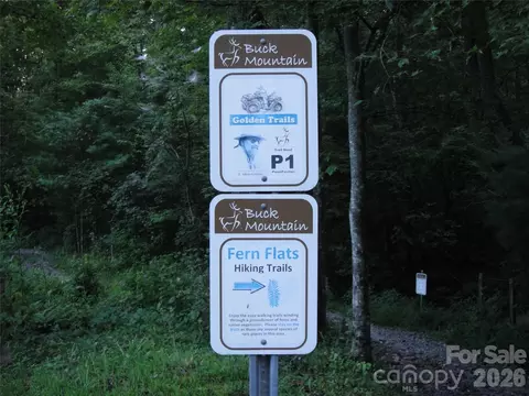 Wolf Pen 27 Road #27, Purlear, NC 28665 photo 33