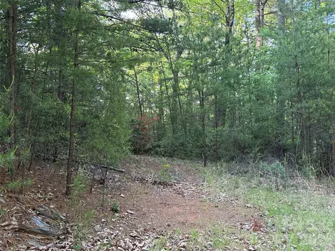 Wolf Pen 27 Road #27, Purlear, NC 28665 photo 10