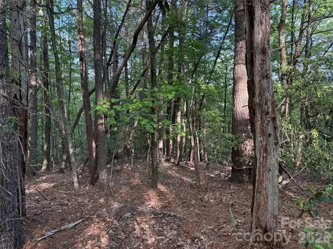 Wolf Pen 27 Road #27, Purlear, NC 28665 photo 17