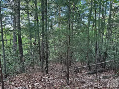Wolf Pen 27 Road #27, Purlear, NC 28665 photo 14