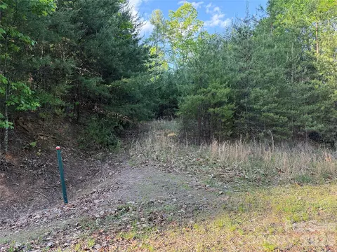 Wolf Pen 27 Road #27, Purlear, NC 28665 photo 4