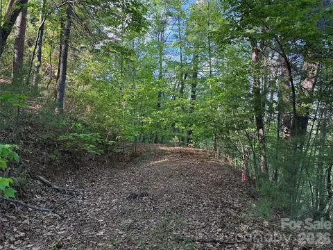 Wolf Pen 27 Road #27, Purlear, NC 28665 photo 6