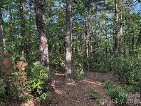 Wolf Pen 27 Road #27, Purlear, NC 28665 photo 3
