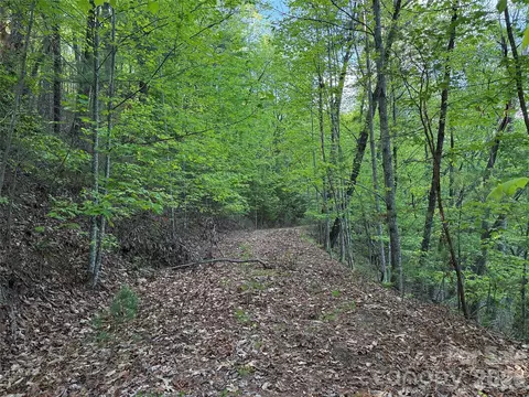 Wolf Pen 27 Road #27, Purlear, NC 28665 photo 7