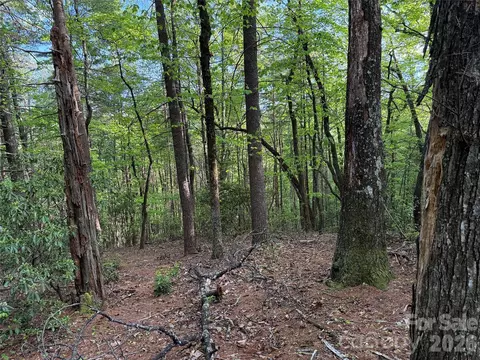 Wolf Pen 27 Road #27, Purlear, NC 28665 photo 16