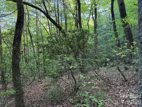 Wolf Pen 27 Road #27, Purlear, NC 28665 photo 19