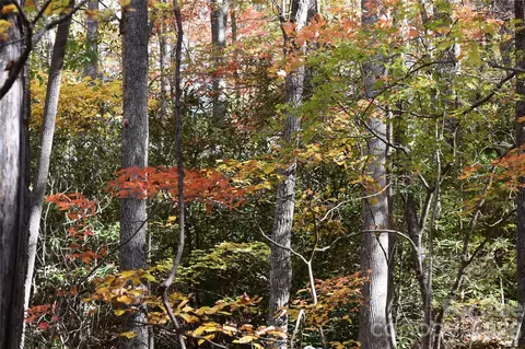 Clear Creek Road, Burnsville, NC 28714