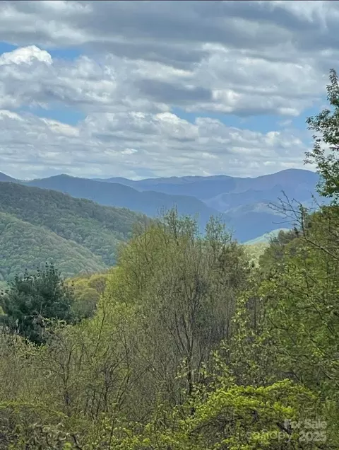 0000 Jerome Ln, Leicester, NC 28748