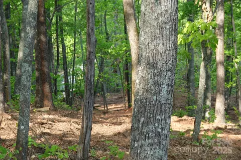 55 Arbra Mountain Way, Bostic, NC 28018
