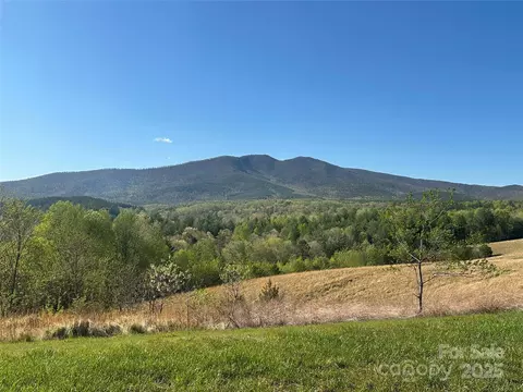 Lake Crest Drive, Nebo, NC 28761