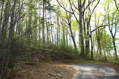 58 Ashewood Mountain Way, Candler, NC 28715