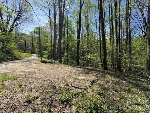 Browning Branch Road, Waynesville, NC 28786