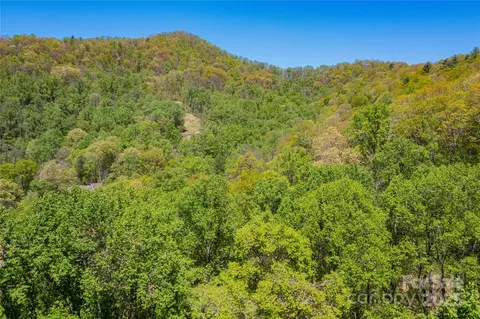 Whispering Woods Path, Mars Hill, NC 28754 photo 18