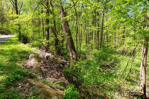 Whispering Woods Path, Mars Hill, NC 28754 photo 6