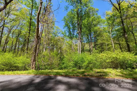 Whispering Woods Path, Mars Hill, NC 28754 photo 7