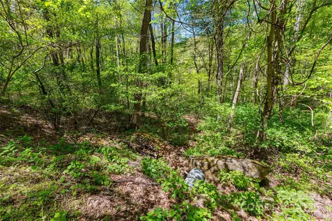 Whispering Woods Path, Mars Hill, NC 28754 photo 4