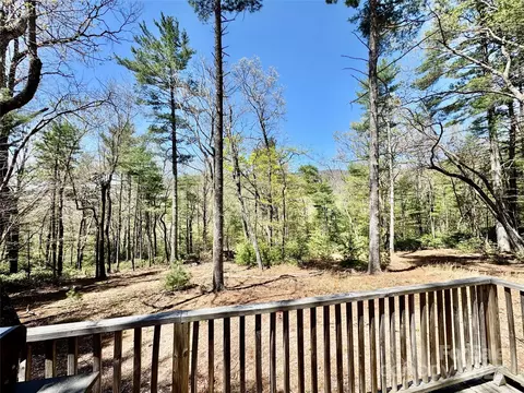 Exterior - 393 Grassy Ridge Ln, Purlear, NC 28665 photo 13 of 15