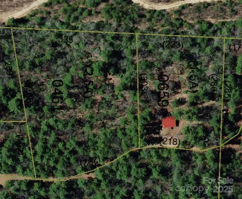 Other - 393 Grassy Ridge Ln, Purlear, NC 28665 photo 7 of 7