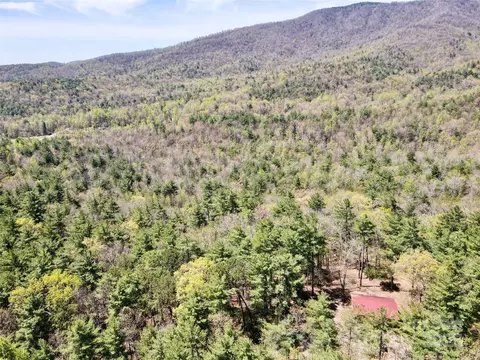 View/Area - 393 Grassy Ridge Ln, Purlear, NC 28665 photo 1 of 2