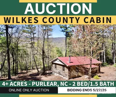393 Grassy Ridge Ln, Purlear, NC 28665