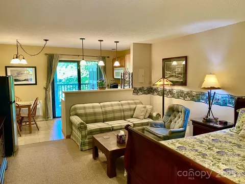 160 Whitney 55 Blvd #55, Lake Lure, NC 28746