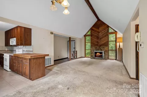1020 Vineyard Rd, Tryon, NC 28782 photo 8