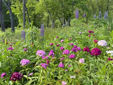 Other - 101 Garrison Rd, Mars Hill, NC 28754 photo 17 of 19